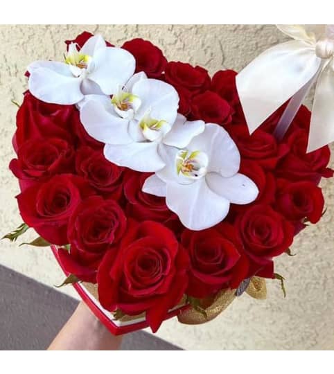 cupid love