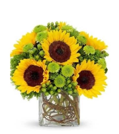 Sunflowers Surprise