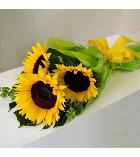 love sunflowers