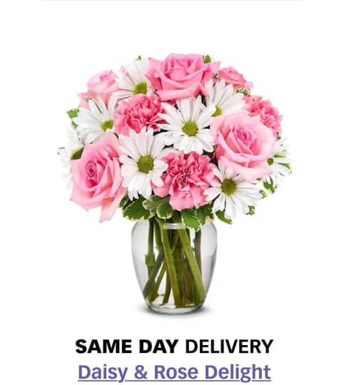 Daisy & Rose Delight