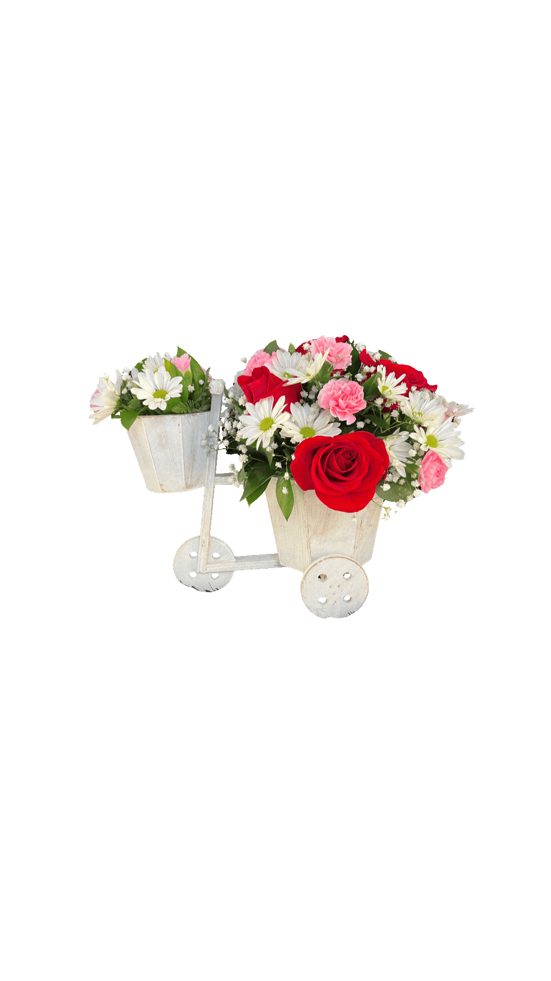 Cute Bicycle Arrangment