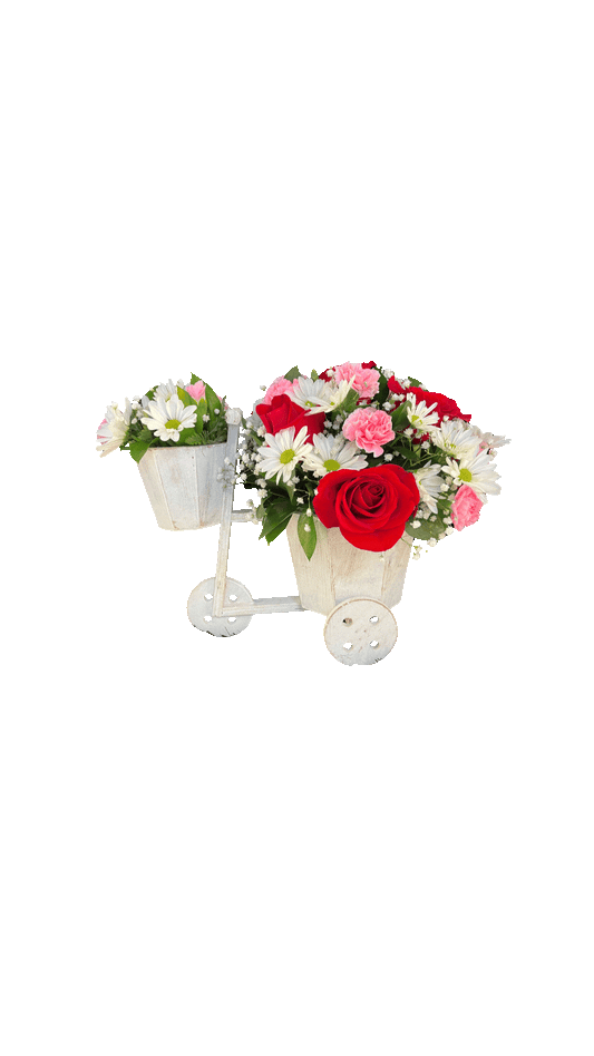 Cute Bicycle Arrangment