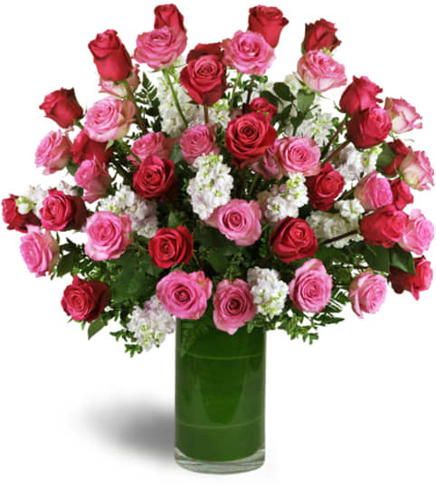 Opulent Roses™
