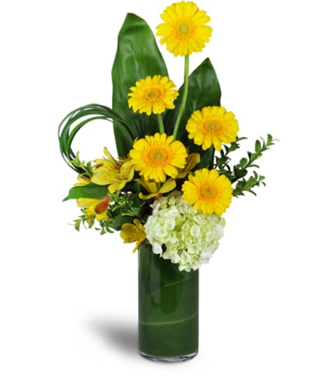 Higher and Higher Bouquet™