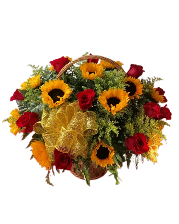 SUNSHINE & LOVE - Image 2